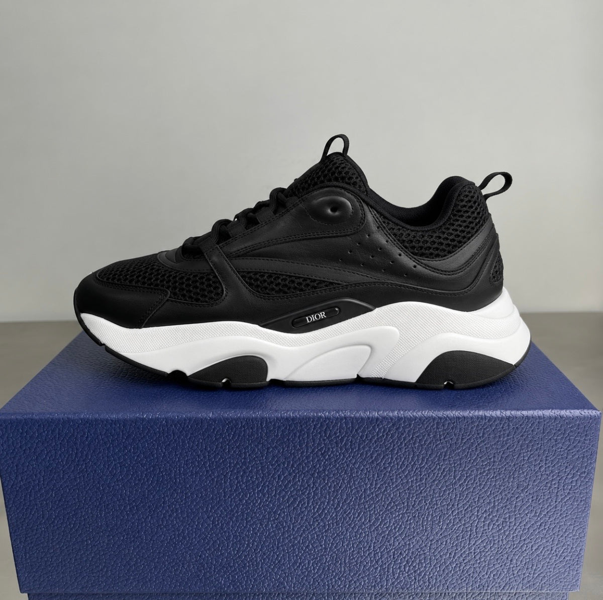 Dior B22