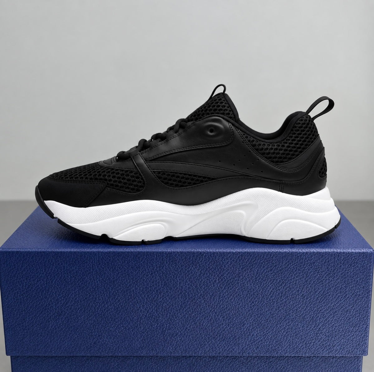 Dior B22