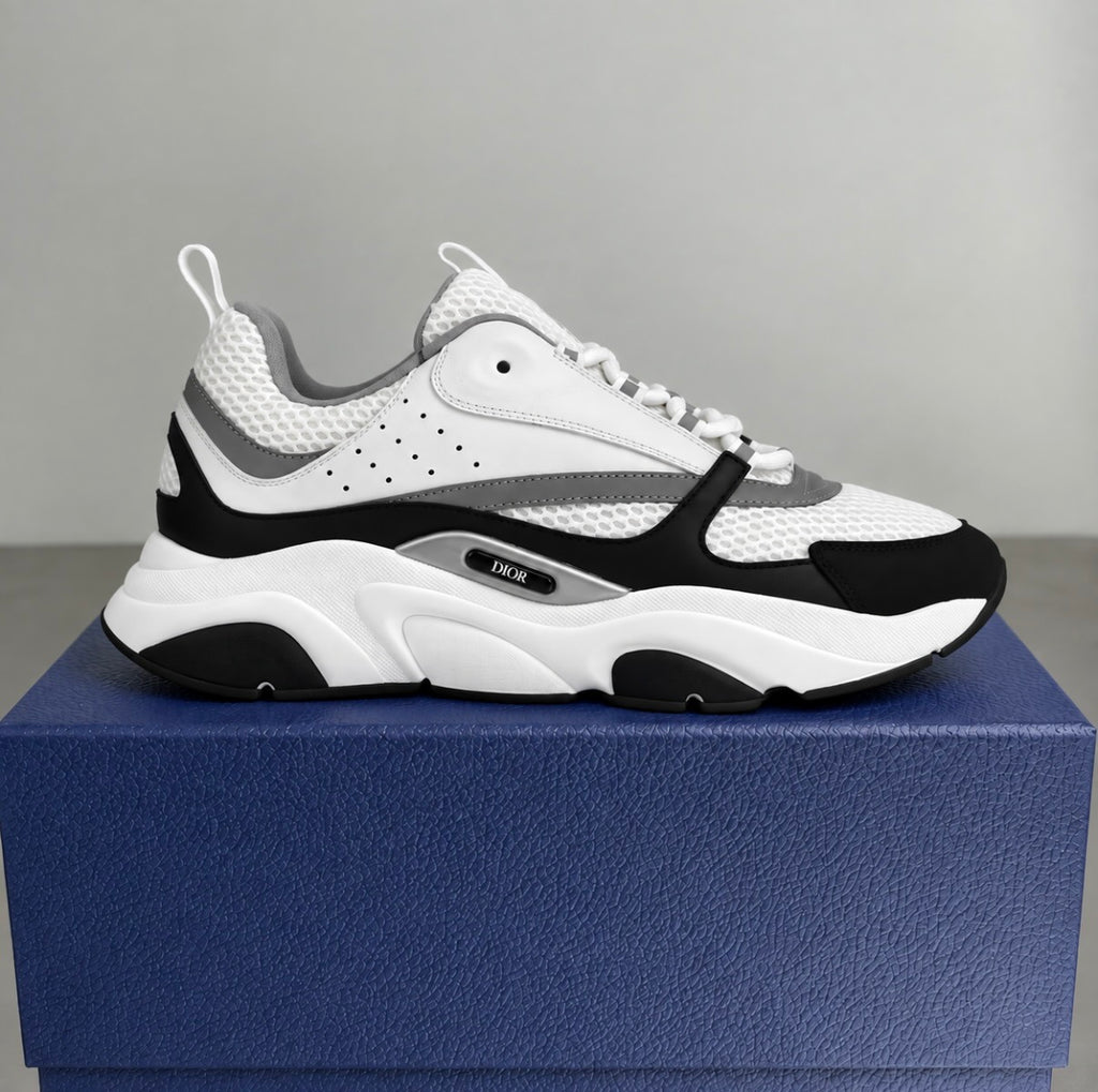 Dior B22