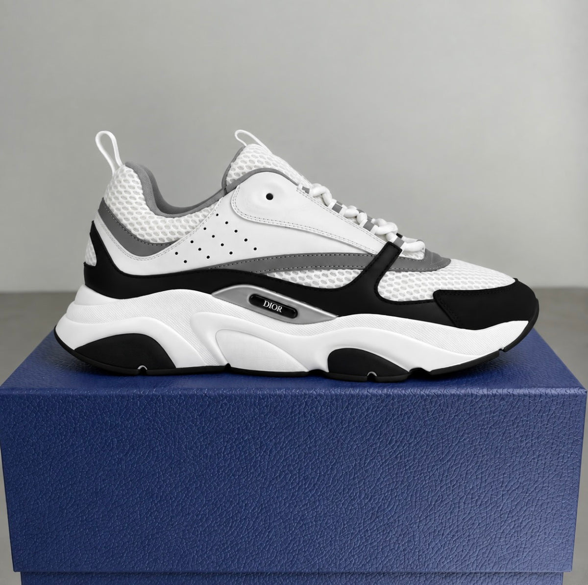 Dior B22