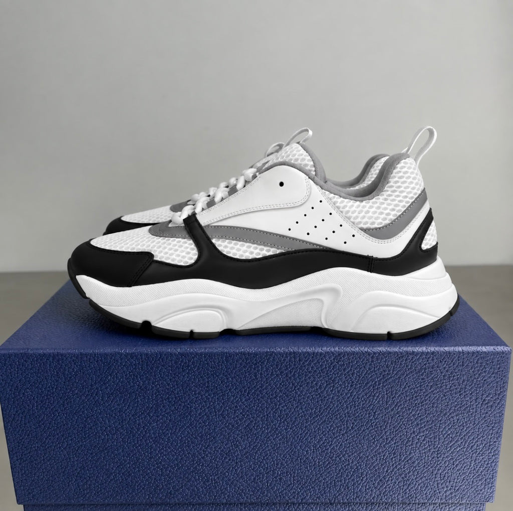 Dior B22