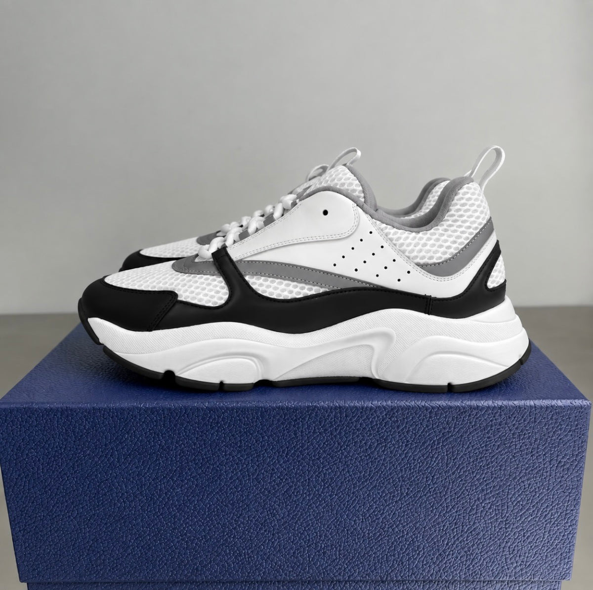 Dior B22