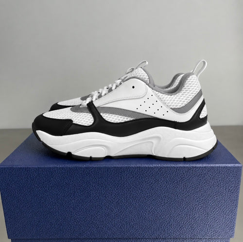 Dior B22